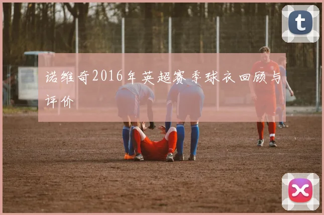 诺维奇2016年英超赛季球衣回顾与评价