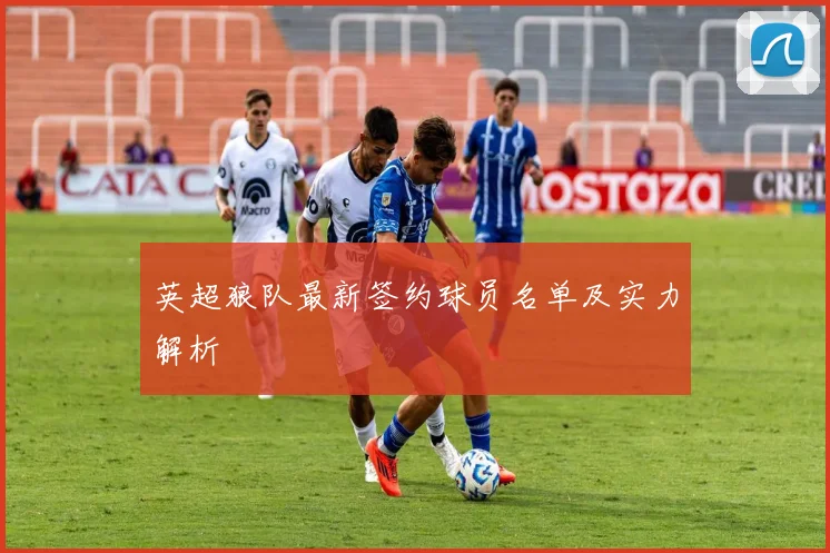 英超狼队最新签约球员名单及实力解析