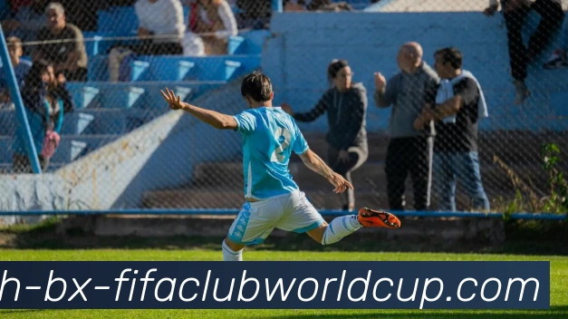 世界杯赛程平台生态图